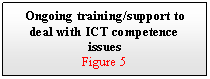 Text Box: Ongoing training/support to deal with ICT competence issues
Figure 5



